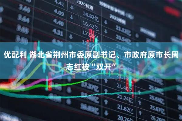 优配利 湖北省荆州市委原副书记、市政府原市长周志红被“双开”