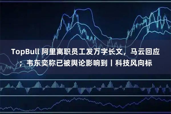 TopBull 阿里离职员工发万字长文，马云回应；韦东奕称已被舆论影响到丨科技风向标