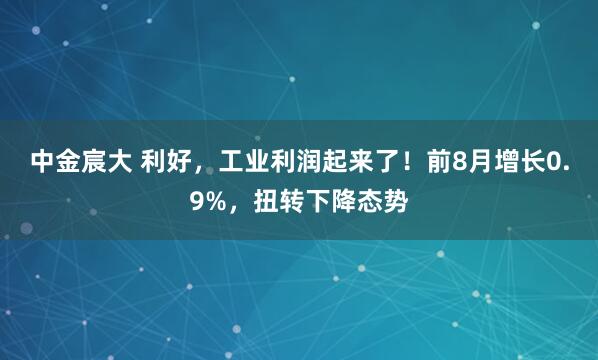 中金宸大 利好，工业利润起来了！前8月增长0.9%，扭转下降态势