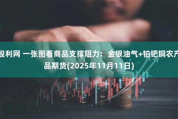 股利网 一张图看商品支撑阻力：金银油气+铂钯铜农产品期货(2025年11月11日)