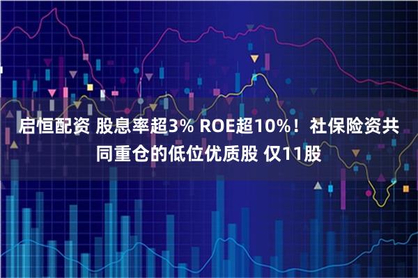 启恒配资 股息率超3% ROE超10%！社保险资共同重仓的低位优质股 仅11股