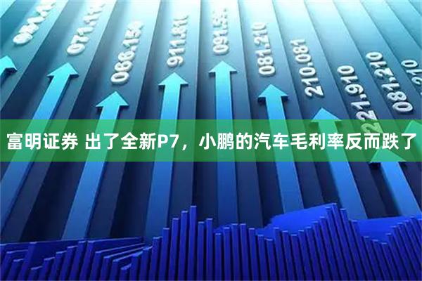 富明证券 出了全新P7，小鹏的汽车毛利率反而跌了