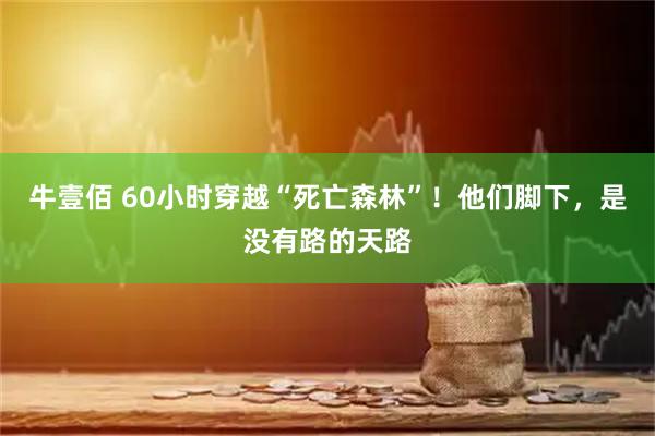 牛壹佰 60小时穿越“死亡森林”！他们脚下，是没有路的天路